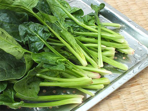 菠菜配送