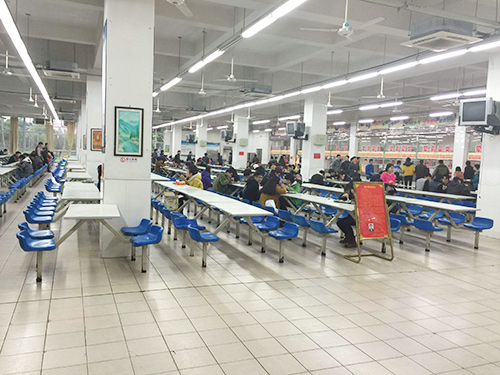 学校饭堂承包